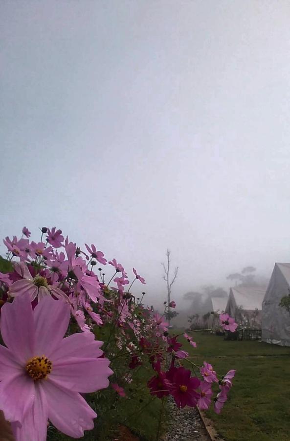 Lys I Dalen Resort&Camping カオコー エクステリア 写真