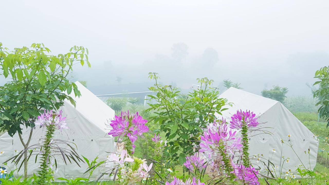 Lys I Dalen Resort&Camping カオコー エクステリア 写真